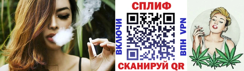 Бошки Шишки план  Тверь 